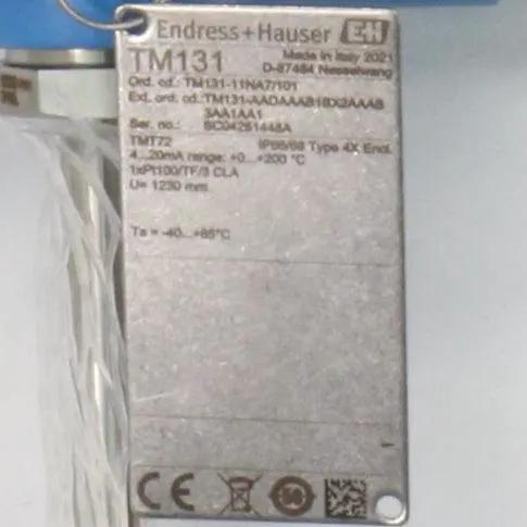 Endress + Hauser TM131 11NA7 101 Industrial Modular Thermometer-Industrial Modular Thermometer-Used Industrial Parts