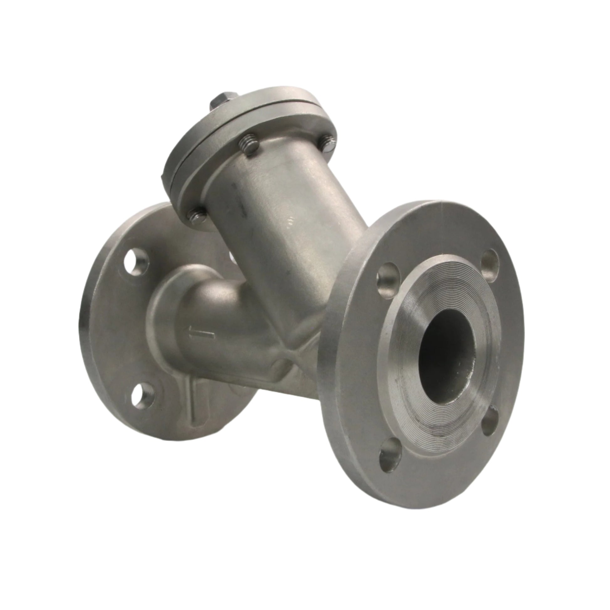 Beaver Stainless Steel Flange with Filter-Flange with Filter-Used Industrial Parts