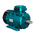 Brook Crompton WP-DF160MR Three Phase Induction Motor