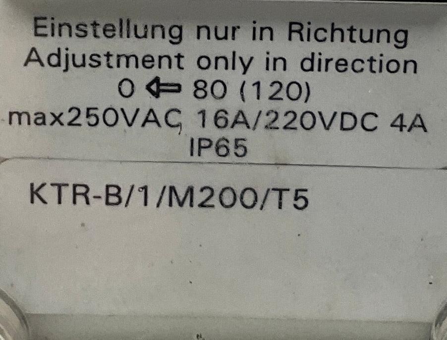 Woerner KTR-B/1/M200/T5 Level and Temperature Switch-Level and Temperature Switch-Used Industrial Parts