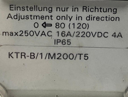 Woerner KTR-B/1/M200/T5 Level and Temperature Switch-Level and Temperature Switch-Used Industrial Parts